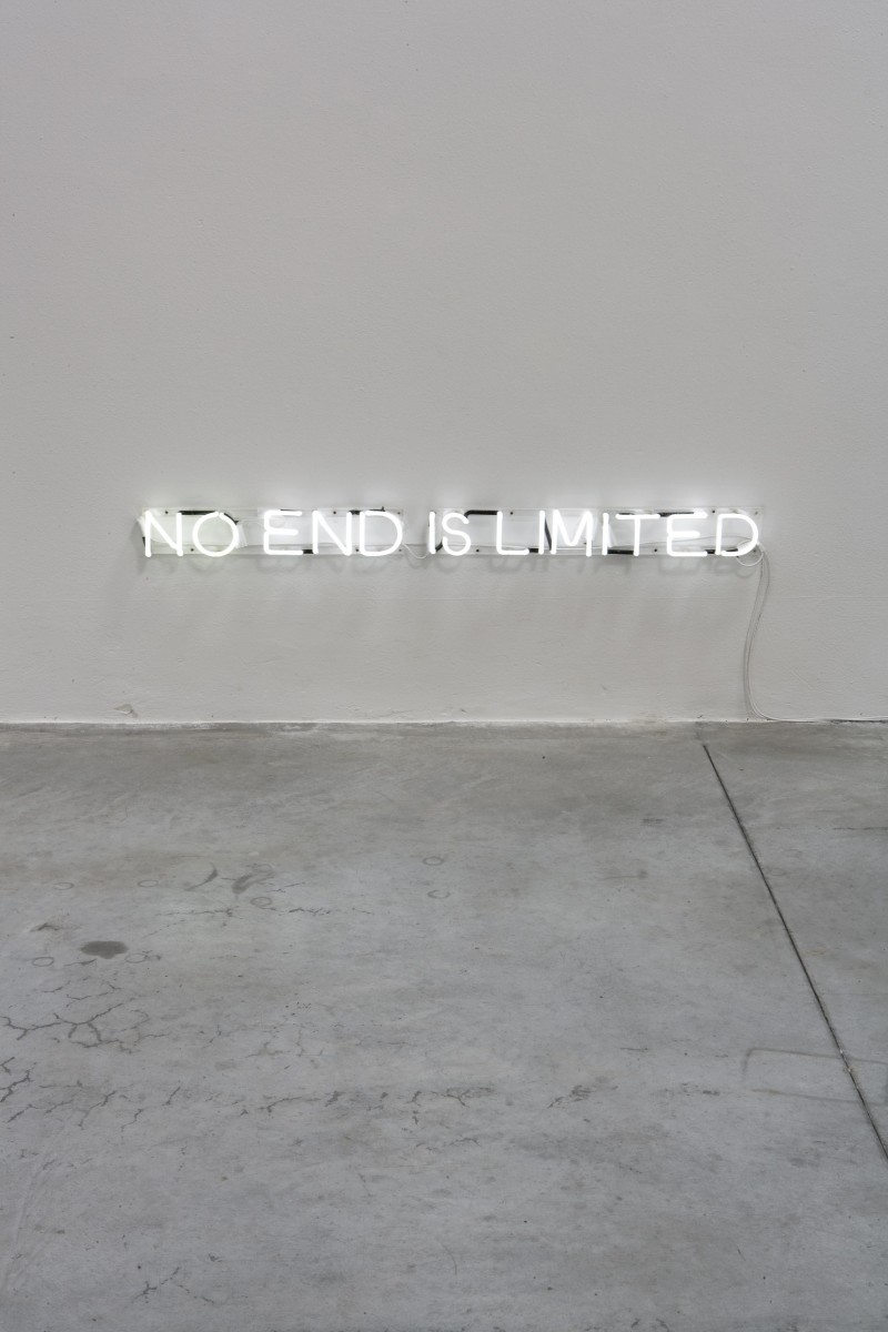 Maria Adele Del Vecchio, No end is limited, 2008