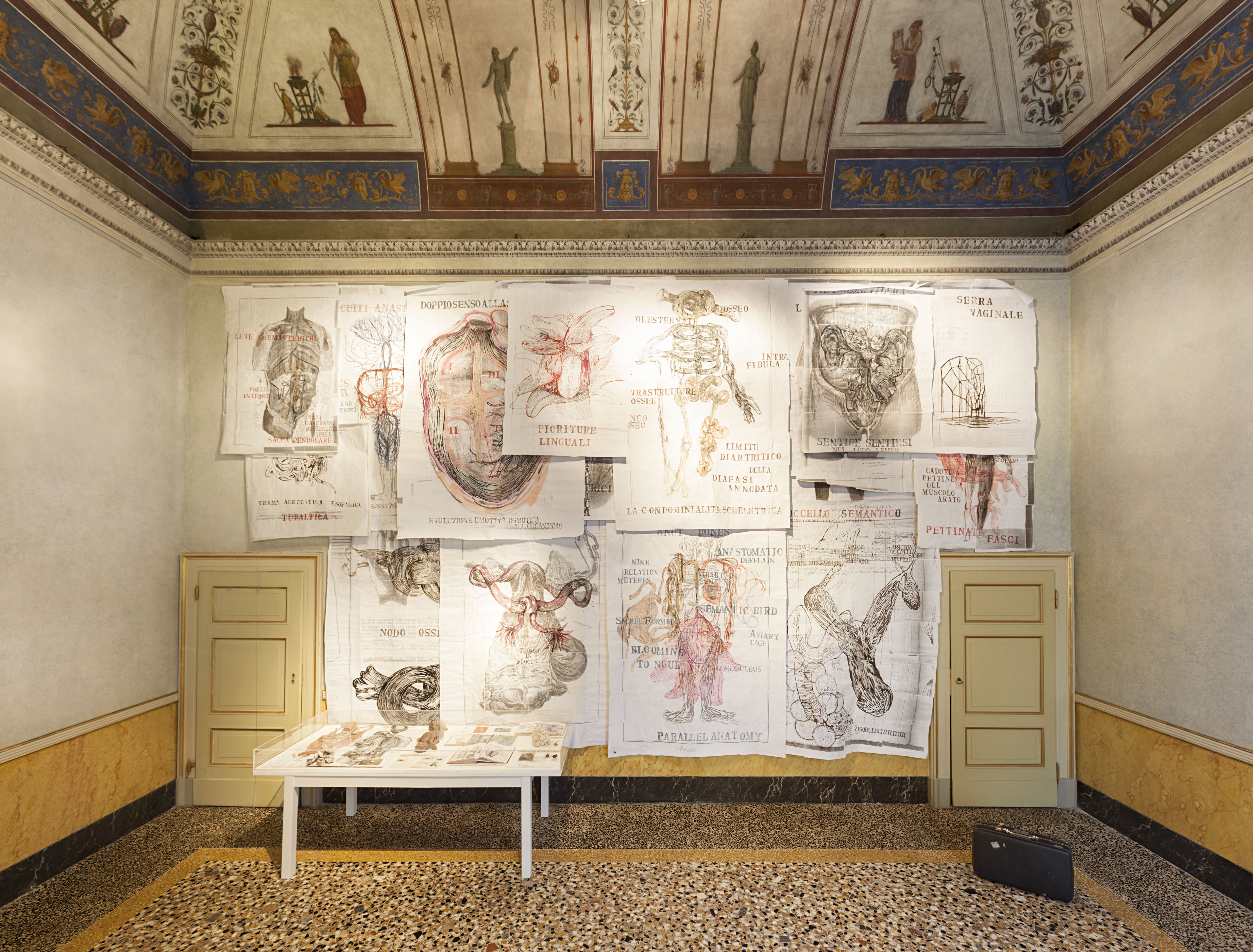 Sissi, VolumeInterno, 2012 l Sissi, Apparati di una ricerca anatomica, 1999-2015 l Lara Favaretto, Lost & Found, 2003