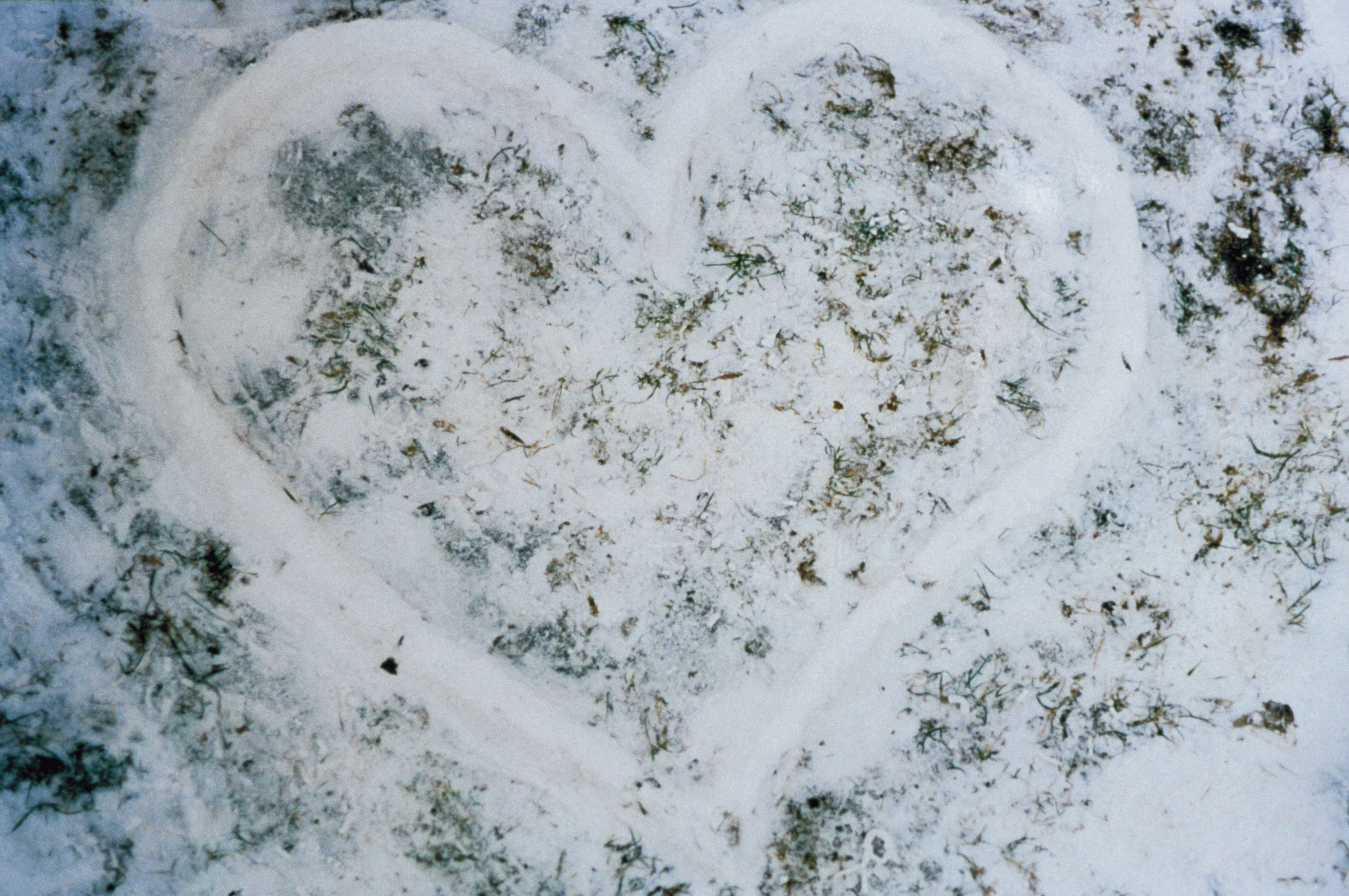 Sislej Xhafa, Hot Perfume of Snow, 2000