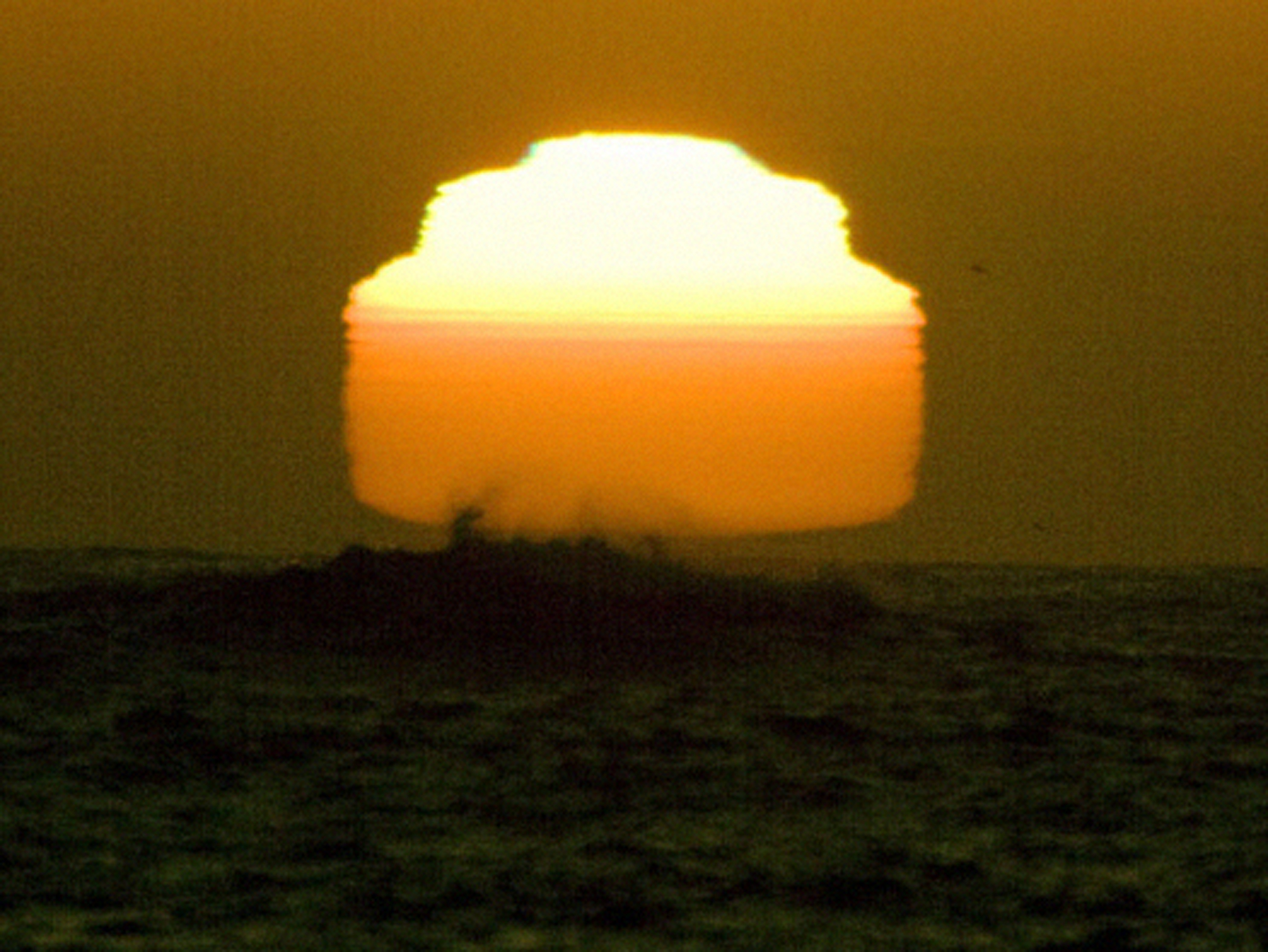 Alex Cecchetti, Sun - One Day Old, 2008 (Courtesy dell'artista)